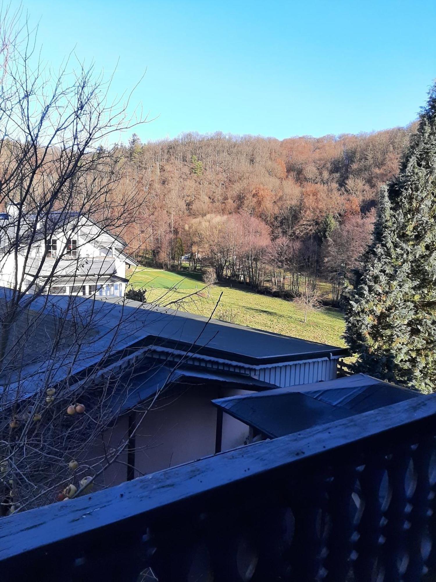 Ferienwohnung Bergblick Hallenberg Exteriér fotografie