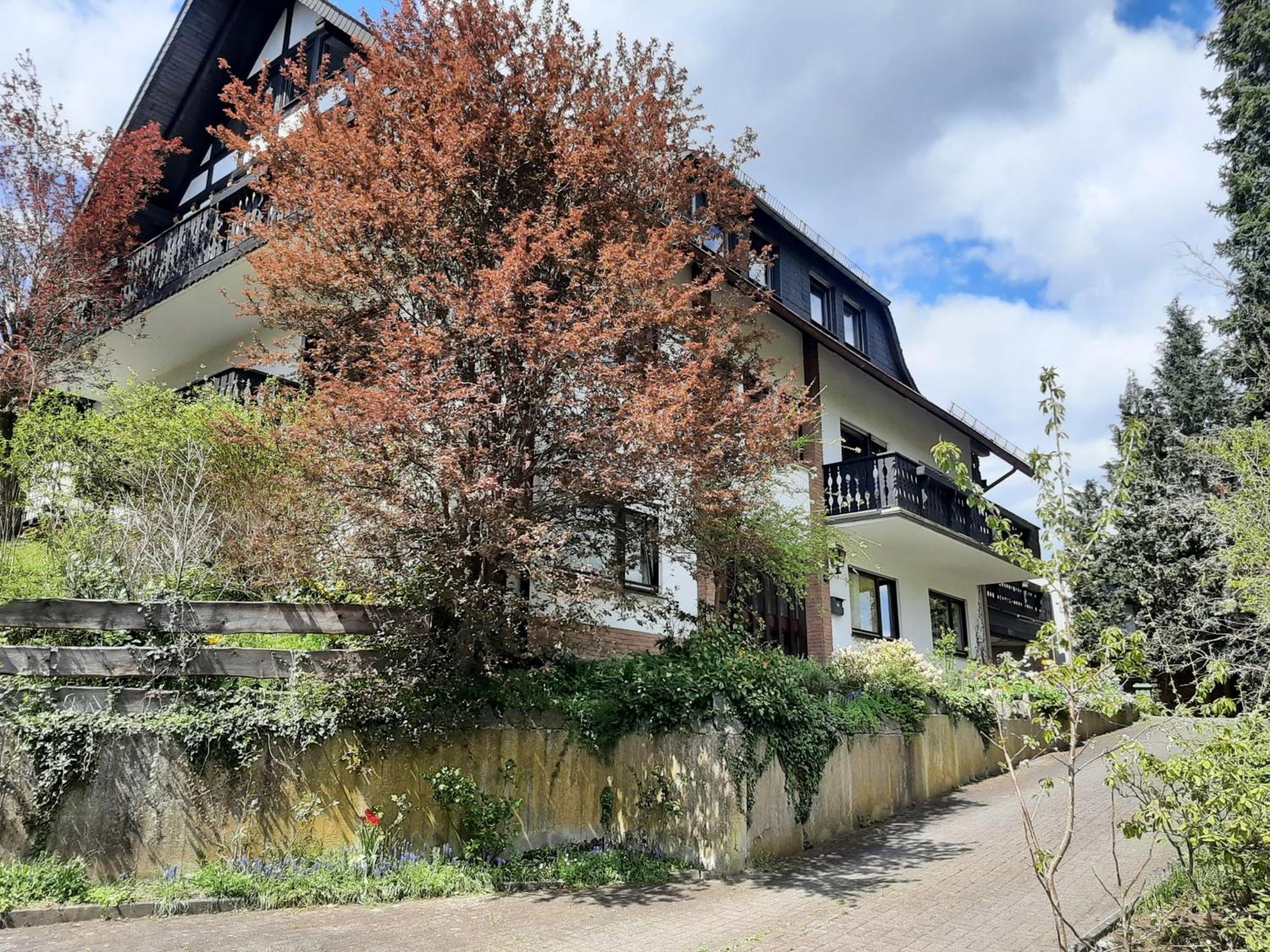 Ferienwohnung Bergblick Hallenberg Exteriér fotografie